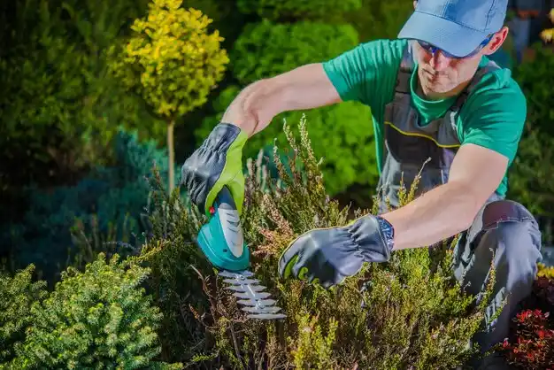 landscaping services Jonestown